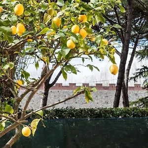 Lemon House Yellow Pisa